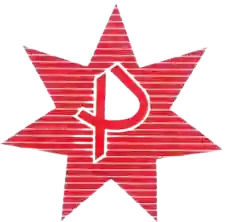 Punjstar-Insustries - Client